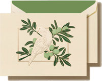 Holiday Greeting Cards by Crane & Co. - Dove In Olive Tree