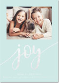 Holiday Photo Mount Cards by Dabney Lee - Oh Joy Foil