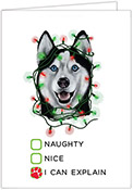 Non-Personalized Holiday Dog Greeting Cards by Donovan Designs (Husky)