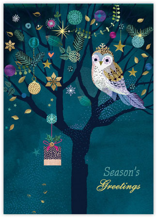 Boxed Charitable Holiday Greeting Cards by Good Cause Greetings - Sparkly Owl