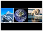 Boxed Charitable Holiday Greeting Cards by Good Cause Greetings - Our Precious Earth