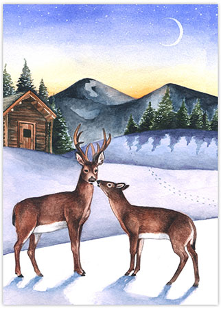 Boxed Charitable Holiday Greeting Cards by Good Cause Greetings - Deer Family