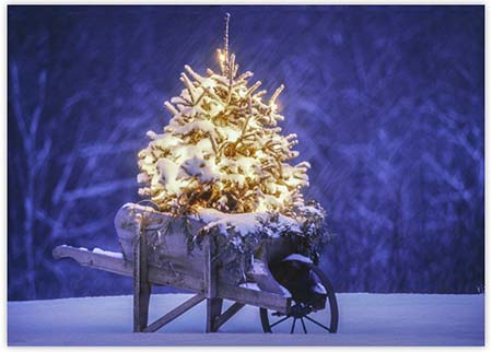 Charitable Holiday Greeting Cards by Good Cause Greetings - Wheelbarrow of Cheer