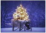 Charitable Holiday Greeting Cards by Good Cause Greetings - Wheelbarrow of Cheer