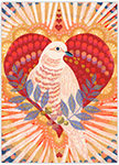 Boxed Holiday Greeting Cards by Good Cause Greetings - Celebrate Peace