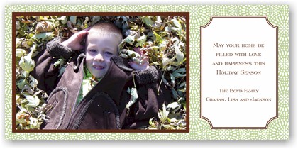 Holiday Photo Mount Cards by Boatman Geller - Bursts Sage