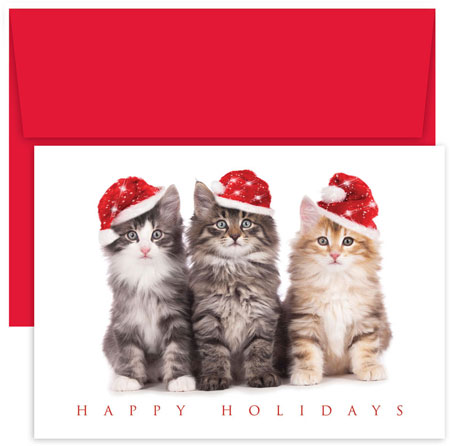 Pre-Printed Boxed Holiday Cards by Masterpiece Studios (Christmas Kittens) Pre-Printed Boxed Holiday Cards by Masterpiece Studios (Christmas Kittens)