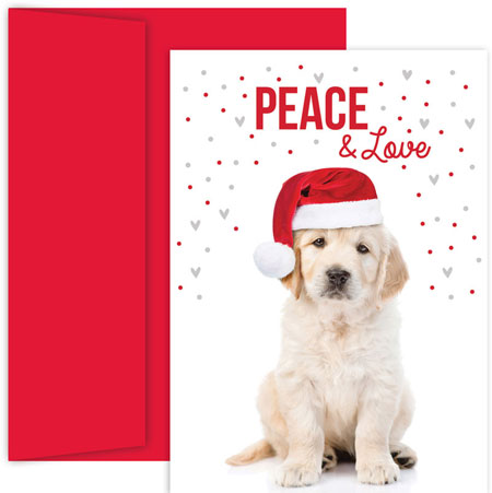 Pre-Printed Boxed Holiday Cards by Masterpiece Studios (Christmas Lab) Pre-Printed Boxed Holiday Cards by Masterpiece Studios (Christmas Lab)