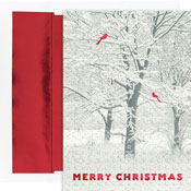 Pre-Printed Boxed Holiday Cards by Masterpiece Studios (Snowy Trees)