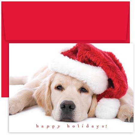 Pre-Printed Boxed Holiday Greeting Cards by Masterpiece Studios (Santa Puppy)