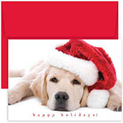 Pre-Printed Boxed Holiday Greeting Cards by Masterpiece Studios (Santa Puppy)