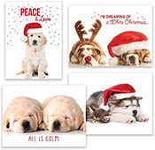 Pre-Printed Boxed Holiday Greeting Cards by Masterpiece Studios (Puppy Love Holiday Assortment)