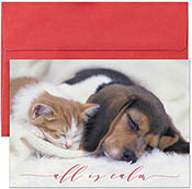 Pre-Printed Boxed Holiday Greeting Cards by Masterpiece Studios (All is Calm)