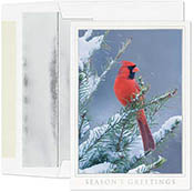 Pre-Printed Boxed Holiday Greeting Cards by Masterpiece Studios (Let Nature Sing)