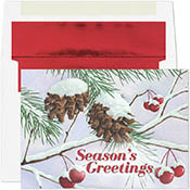 Pre-Printed Boxed Holiday Greeting Cards by Masterpiece Studios (Glistening Pine Cones)