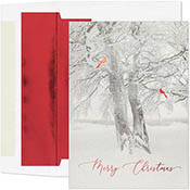 Pre-Printed Boxed Holiday Greeting Cards by Masterpiece Studios (Cardinal Tree)