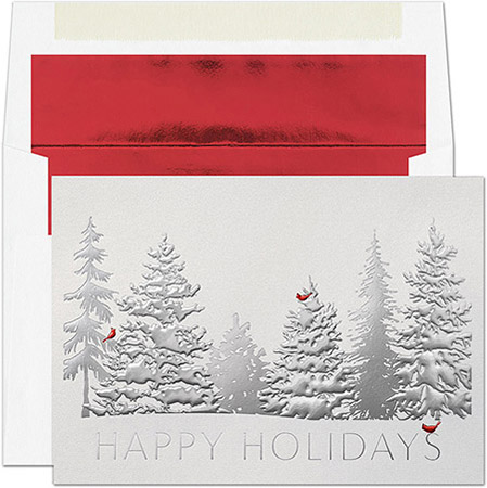 Pre-Printed Boxed Holiday Greeting Cards by Masterpiece Studios (Scarlet Visitors)