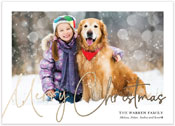 Digital Holiday Photo Cards by PicMe Prints (Classic Christmas)