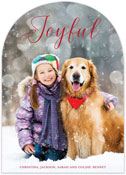 Holiday Digital Photo Cards by PicMe Prints (Arch Shape Joyful)