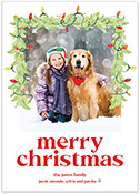Digital Holiday Photo Cards by PicMe Prints (Lights Aglow)