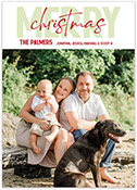 Digital Holiday Photo Cards by PicMe Prints (Season to Celebrate)
