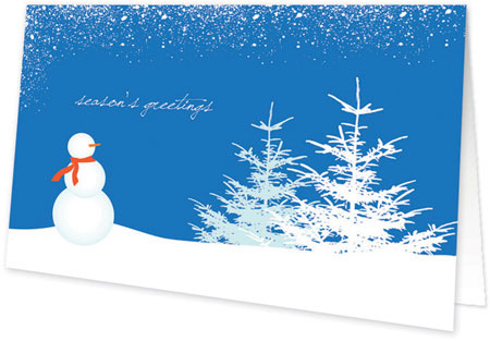 Spark & Spark Holiday Greeting Cards - Snowy Day - Blue (Photo Cards)