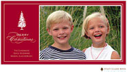 Holiday Photo Mount Cards by Stacy Claire Boyd (Family Tree - Flat)