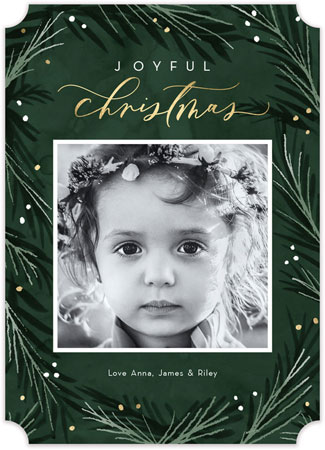Digital Holiday Photo Cards by Stacy Claire Boyd (Winter Garden) Digital Holiday Photo Cards by Stacy Claire Boyd (Winter Garden)