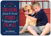 Digital Holiday Photo Cards by Stacy Claire Boyd (Every Creature)
