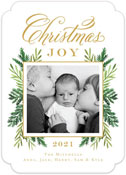 Digital Holiday Photo Cards by Stacy Claire Boyd (In Season)