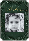 Digital Holiday Photo Cards by Stacy Claire Boyd (Winter Garden)