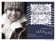 Take Note Designs Digital Holiday Photo Cards - Blue Holiday Mail