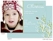 Take Note Designs Digital Holiday Photo Cards - Winter Berry Tree with Bird