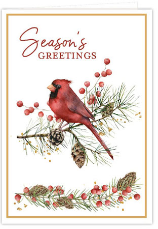 Holiday Greeting Cards by Three Bees - Cardinal