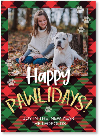 Digital Holiday Cards by iDesign - Happy Pawlidays