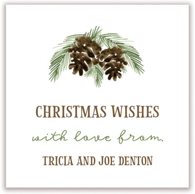 Holiday Gift Enclosure Cards by PicMe Prints - Pinecones (Flat) Holiday Gift Enclosure Cards by PicMe Prints - Pinecones (Flat)