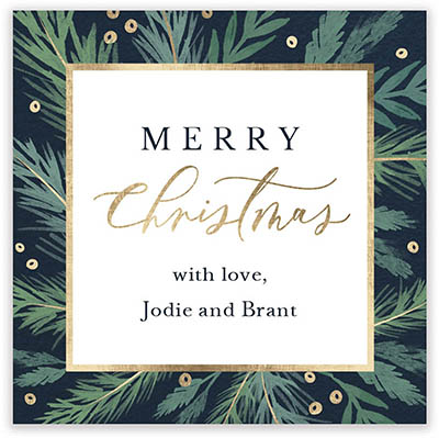 Holiday Gift Stickers by Stacy Claire Boyd (Christmas Fronds) Holiday Gift Stickers by Stacy Claire Boyd (Christmas Fronds)