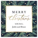 Holiday Gift Stickers by Stacy Claire Boyd (Christmas Fronds)