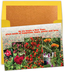 Jewish New Year Cards by Designer's Connection - Seeds Become Our Blooms
