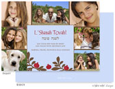 Jewish New Year Cards by Take Note Designs (Pomegranate Multi-Photo)