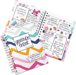 Gratitude Finder Journals - Chevi Chevron