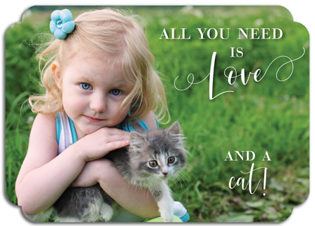 Modern Posh Pet Adoption Photo Announcements - All You Need is Love and a Cat