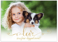 Modern Posh Valentine's Day Photo Cards - Four-Legged Word