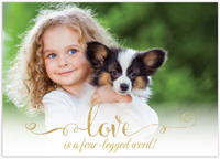 Modern Posh Pet Adoption Photo Announcements - Four-Legged Word