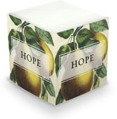 Prentiss Douthit Sticky Memo Cube - Pear (675 Self-Stick Notes)