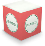 Great Gifts by Chatsworth - Decorative Memo Cubes/Sticky Notes (Watermelon)