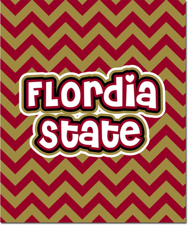 Plush College Blankets - Florida State #1