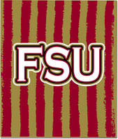 Plush College Blankets - Florida State #1