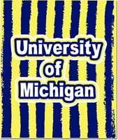 Plush College Blankets - Michigan #2
