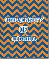 Plush College Blankets - Florida #2